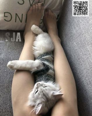 聂小雨人物经历_HD神马影院手机在线