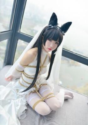 猫咪社区www成人网站_DVD高清电影在线
